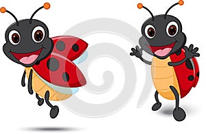 Happy Lady bug cartoon