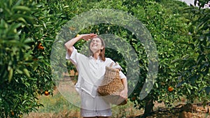 Happy lady strolling orange sunlight garden. Young woman walking lush greenery