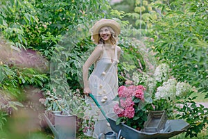 Happy lady with wheelbarrow loaded with garden equipment and flower pots with hydrangea seedlings