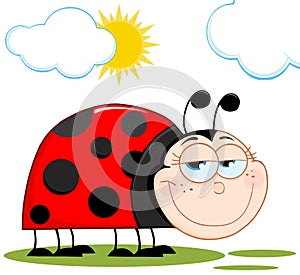 Happy ladybug in the sunshine