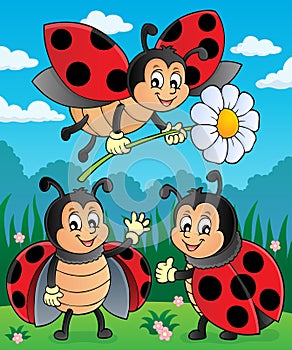 Happy ladybugs on meadow image 2