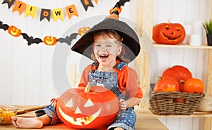 Happy laughing child girl in a witches hat cut a pumpkin for Hal