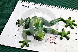 Happy Leap Day on 29 February with Jumping Frog photo