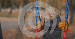 Happy light-haired toddler is swaying on swing in park at autumn day, portrait of happy and laughing child