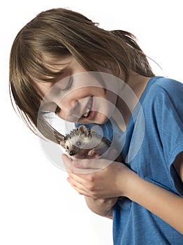 Happy litle girl with her pet African pygmy hedgehog