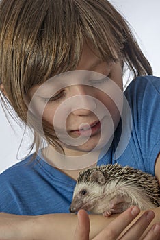 Happy litle girl with her pet African pygmy hedgehog