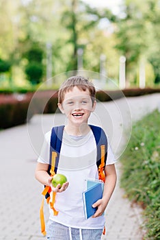 Happy little 7 years old boy at his first day at school