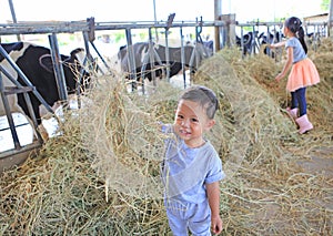 Happy little Asian baby boy in cows farm while feeding cow on holiday with family