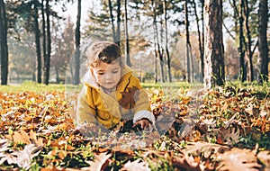 Happy little baby girl in yellow jacket outdoor crawling and playing with autumn leaves. Child having fun in fall season. Smiling