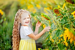 Happy little beautiful girl holds a sunflower in a field in summer