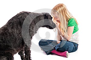 Happy little blonde girl gazing in to the face of a labradoodle. Isolated on white studio background