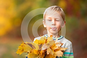 Happy little boy with autumn leaves in the park