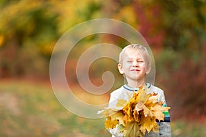 Happy little boy with autumn leaves in the park