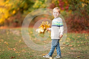 Happy little boy with autumn leaves in the park