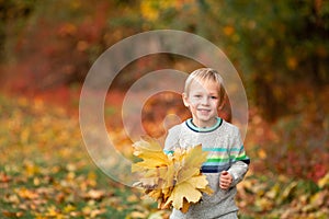 Happy little boy with autumn leaves in the park