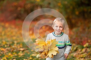 Happy little boy with autumn leaves in the park