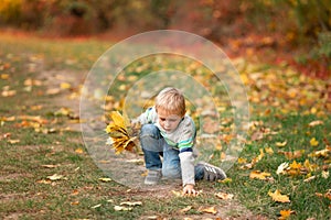 Happy little boy with autumn leaves in the park