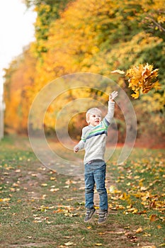 Happy little boy with autumn leaves in the park