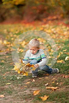 Happy little boy with autumn leaves in the park