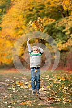 Happy little boy with autumn leaves in the park