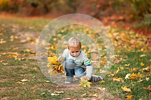 Happy little boy with autumn leaves in the park