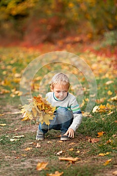 Happy little boy with autumn leaves in the park