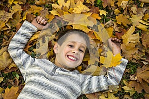 Happy little boy in the autumn park.