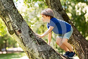 Happy little boy climbing tree at park