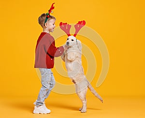 Happy little boy and cute Golden Retriever puppy wearing Christmas reindeer horns dancing together