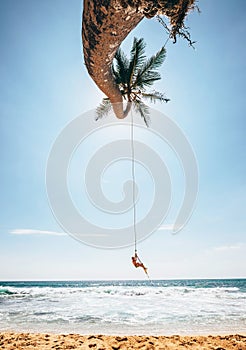 Happy little boy dangles on tropical palm tree swing photo