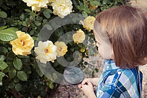 Happy little boy exploring nature with magnifying glass at the day time