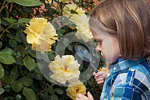 Happy little boy exploring nature with magnifying glass at the day time