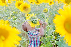 Happy little boy on the field of sunflowers