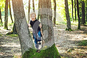 Happy little boy at the forest. Joyful child playing on the park at sunny day. Family walk at wild nature. Summer holidays or