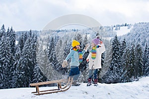 Happy little boy and girl sledding in winter. Kids sibling riding on snow slides in winter. Son and daughter enjoy a