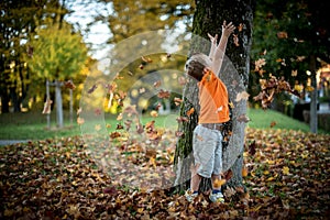 Happy little boy have fun playing with fallen golden leaves