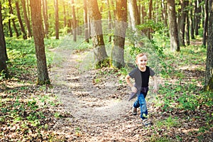 Happy little boy having fun during forest hike on beautiful summer day.