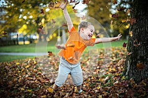 Happy little boy have fun playing with fallen golden leaves