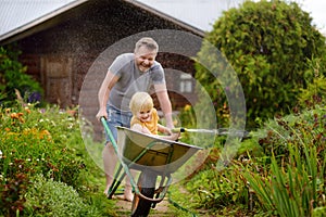 Happy little boy having fun in a wheelbarrow pushing by dad in domestic garden on warm sunny day. Child watering plants from a