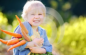 Happy little boy helps family to harvest of organic homegrown vegetables at backyard of farm. Child holding a bunch of fresh