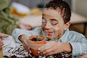 Happy little boy looking at growing plant in a pot.