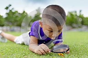 Happy little boy looking through magnifying glass on a sunny day at park.