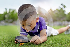 Happy little boy looking through magnifying glass on a sunny day at park.