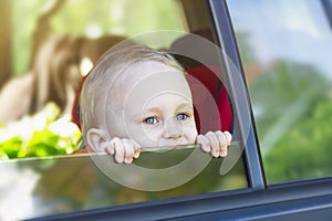 A happy little boy looks out of the car window in anticipation of the trip