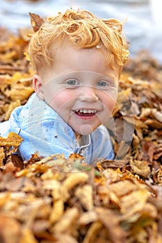 Happy little boy lying in the colorful autumn leaves