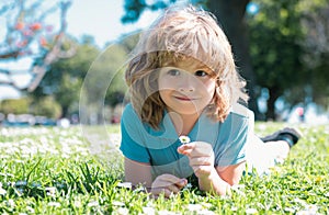 Happy little boy lying on the grass at the spring day. Portrait of a smiling child lying on green grass with daisy