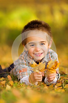 Happy little boy picking leaves