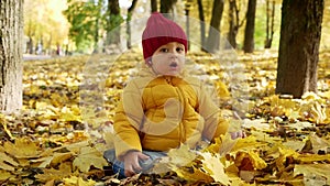 Happy little boy playing in Park in autumn