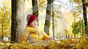 Happy little boy playing in Park in autumn