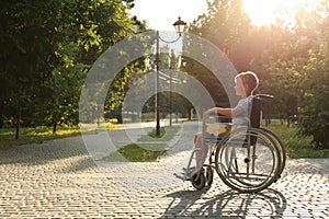 Happy little boy in wheelchair at park on sunny day. Space